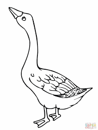 Goose Coloring Page Coloring Pages Bird Coloring Pages Printable Coloring