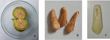 Image result for Spondias