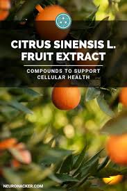 Citrus Sinensis L Fruit Extract Sources And Benefits Health Biohacking Brain Health