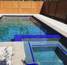 A dark finish is often used to give the appearance of a natural lake or pond. Plaster Vs Pebble Tec Los Angeles Pool Builder