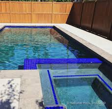 Dark gray or black plaster provides a stunning deep lake appearance and is the popular choice for blending you pool area into a natural landscape. Plaster Vs Pebble Tec Los Angeles Pool Builder