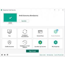 Kaspersky Total Security 1 Kullanici 1 Yil Turkce Virus Fiyati