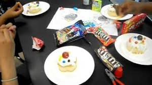 My 11 year old niece had to create a cell model for her science project. Making An Edible Plant Or Animal Cell Model Youtube