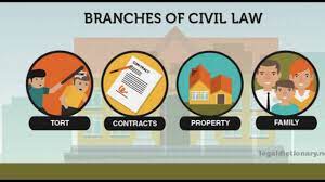 Cause of action means every fact which would be necessary for the plaintiff to prove, if contact details of civil lawyers in delhi. Civil Law Youtube