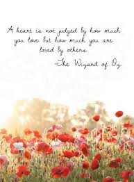 Poppy flower colors are available in a wide array of options. Poppins Book Nook A Horse Of A Different Color Beautiful Flowers Flowers Poppies
