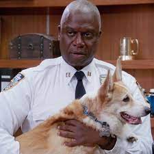Related the 100 tv comedies everyone should watch Comedies Make The Best Binge Watches