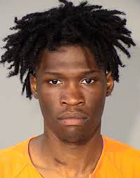 3rd teen charged with aiding and abetting murder in North St. Paul shooting 