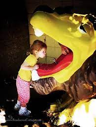 Drinking From The Lion Water Fountain At The Oakland Zoo Oakland California Oakland Zoo Zoo Oakland