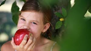 Trio of Farm Bureau members appointed to apple committee