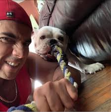 DogSpa Exclusive Service