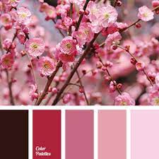 Color Palette 2669 Color Palette Ideas Color Palette Color Balance Color Pallets
