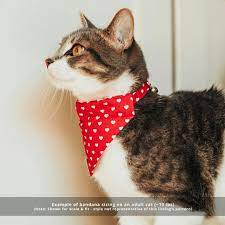 Download, share or upload your own one! I Love My Cat Bandana Pet Clothing Accessories Shoes Pet Supplies