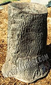 Bird Bath Well Pump Cover Tree Stump Birdbath Well Pump Cover Septic Tank Covers Bird Bath