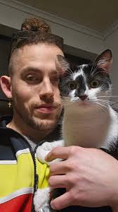 Lost Cat in North Scranton/Bullshead Area