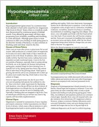 Image result for Tetany