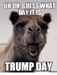 It is really hit hard by shockpotatoes more memes. Guess What Day It Is Trump Day Memes