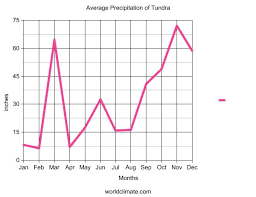 Come To The Tundra Earth And Environmental Science