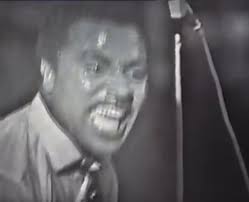 @nikidoog's video Tweet