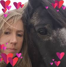 Anywhere round Newquay still selling Christmas trees?