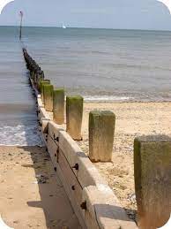 Your groin is the front part of your body between your legs. Protecting Shorelines Read Earth Science Ck 12 Foundation