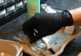 We did not find results for: Piercing Online Training I Course Content And Costs