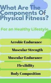 Health related components of fitness . Health Related Components Of Physical Fitness Archives Best Health N Care
