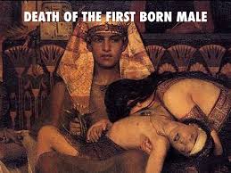 Image result for death of the firstborn 