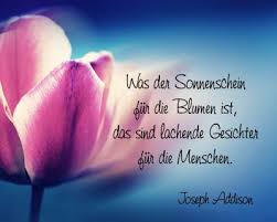 Pin Auf Blumen