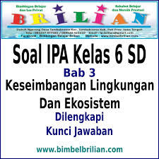 Jan 27, 2020 · sumber dari : Soal Ipa Kelas 6 Sd Bab Keseimbangan Lingkungan Dan Ekosistem Dan Kunci Jawaban Bimbel Brilian