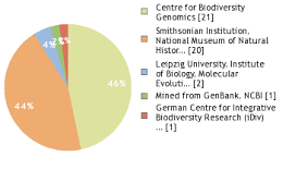 Image result for Sorindeia winkleri