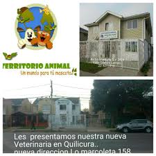 Veterinaria Territorio Animal Quilicura
