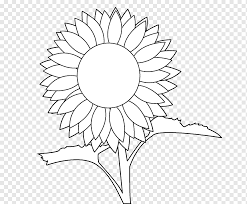 You can use our amazing online tool to color and edit the following dragon coloring pages. Sunflower Black And White Coloring Book Drawing Comic Book Common Sunflower Painting Line Art Page Coloring Book Drawing Book Png Pngwing