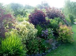 Border 3 Grows On You Beautiful Gardens Dream Garden Cottage Garden