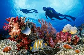 The Best Places Around The World To Scuba Dive Great Barrier Reef Diving Scuba Diving