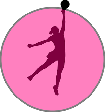 Final bola jaring sukan sea 2019. Basketball Player Ball Free Vector Graphic On Pixabay