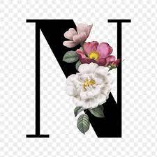 Classic And Elegant Floral Alphabet Font Letter N Transparent Png Premium Image By Rawpixel Com Man Lettering Fonts Lettering Alphabet Fonts Fonts Alphabet