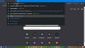 What happens to a google docs history and comments when a user is deleted. How To Delete Unwanted Autofill Url In Google Chrome Address Bar