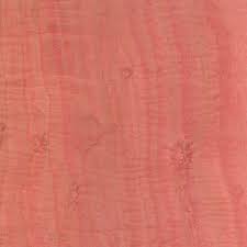 Image result for Berchemia zeyheri