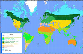 Marietta College Main Biomes Page