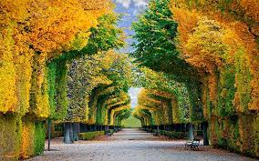 Image result for ‫عکس طبیعت‬‎