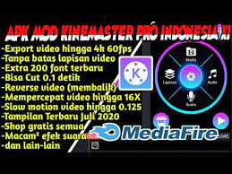 Dari nama kinemaster mod yang satu ini mungkin kalian sudah bisa menebak apa kelebihannya. Kinemaster Pro Indonesia Xi Apk Mod Youtube