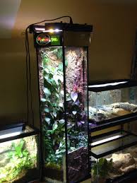 Pin By Paul Dldario On Gecko Terrarium Vivarium Gecko Terrarium Gecko Vivarium