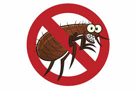 We did not find results for: Fo Hmncq2he34m