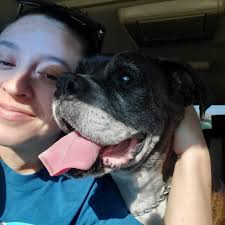 I lost my 10yr old male Dexter yesterday to tumor of the spleen. So sudden  😞