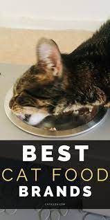 Pin On Cat Health