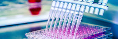 Jul 16, 2021 · urine is a wonderful way to test metabolites of hormones. Info On Getting Your Hormones Tested