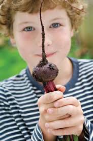 YOUTH ENGAGEMENT AND OPPORTUNITY: