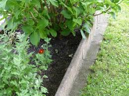 Tipps und tricks aus dem garten am engerain gibt es dafür monatlich im magazin schweizer garten zu lesen. Randsteine Im Garten Setzen Naturliche Akzente
