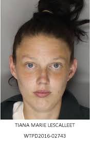 Press Release: 04/28/2016 WTPD2016-02743 04/25/2016 @ 10:31 Hours  Washington Township Police were notified by PA State Parole agents that a  wanted subject had been located by the US Marshalls at a campsite