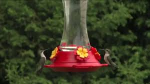 Image result for country bird feeders in their settings